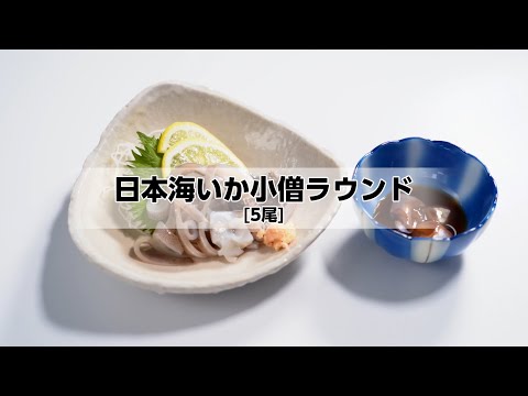 ASUKA Ika Kozou Whole Squid 5pc 630g Sashimi Grade